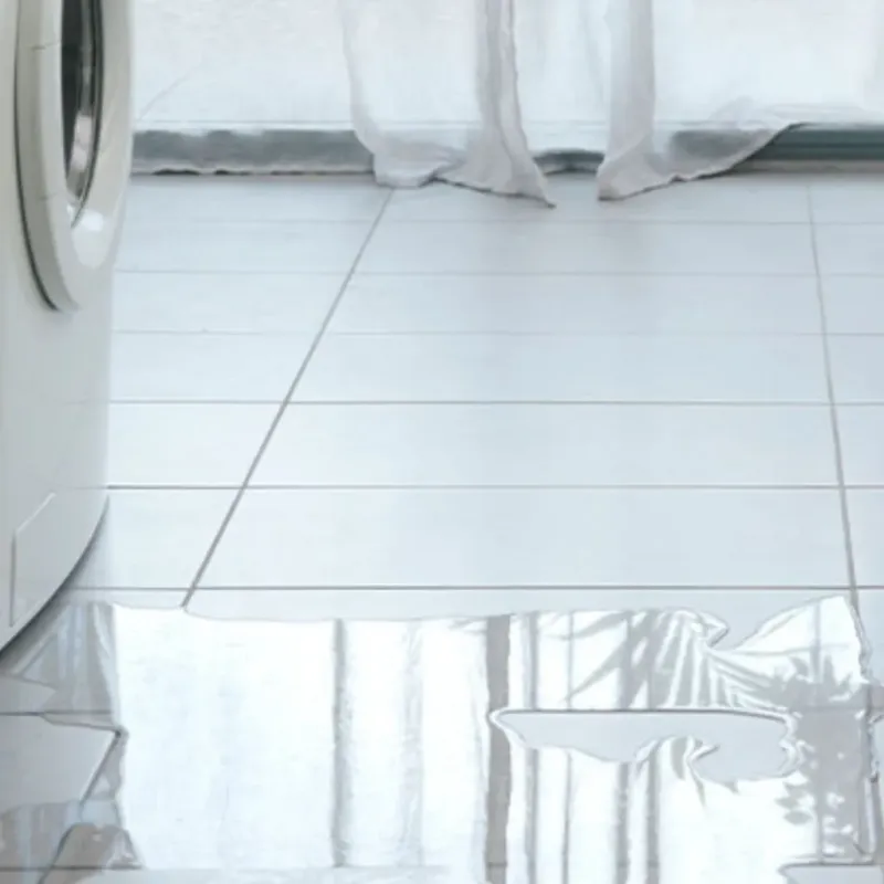 Appliance Leak Cleanup in Tye, TX
