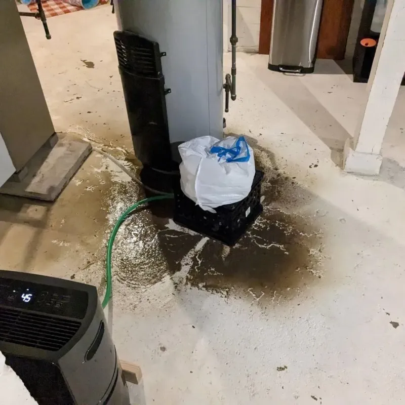 Sewage Backup Cleanup Service in Tye, TX